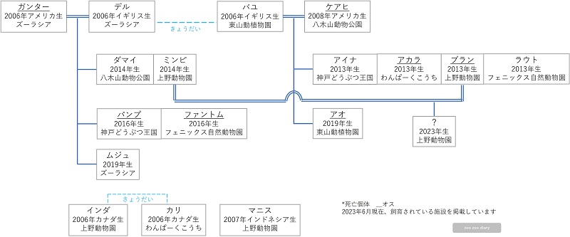 日本にいるスマトラトラ　相関図　家系図